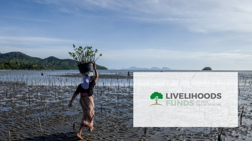 Innpact Projects AIFM Livelihoods LCF3