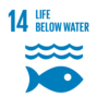 Innpact United Nations Sustainable Development Goal #14 Life Below Water Innpact United Nations Sustainable Development Goal #14 Life Below Water