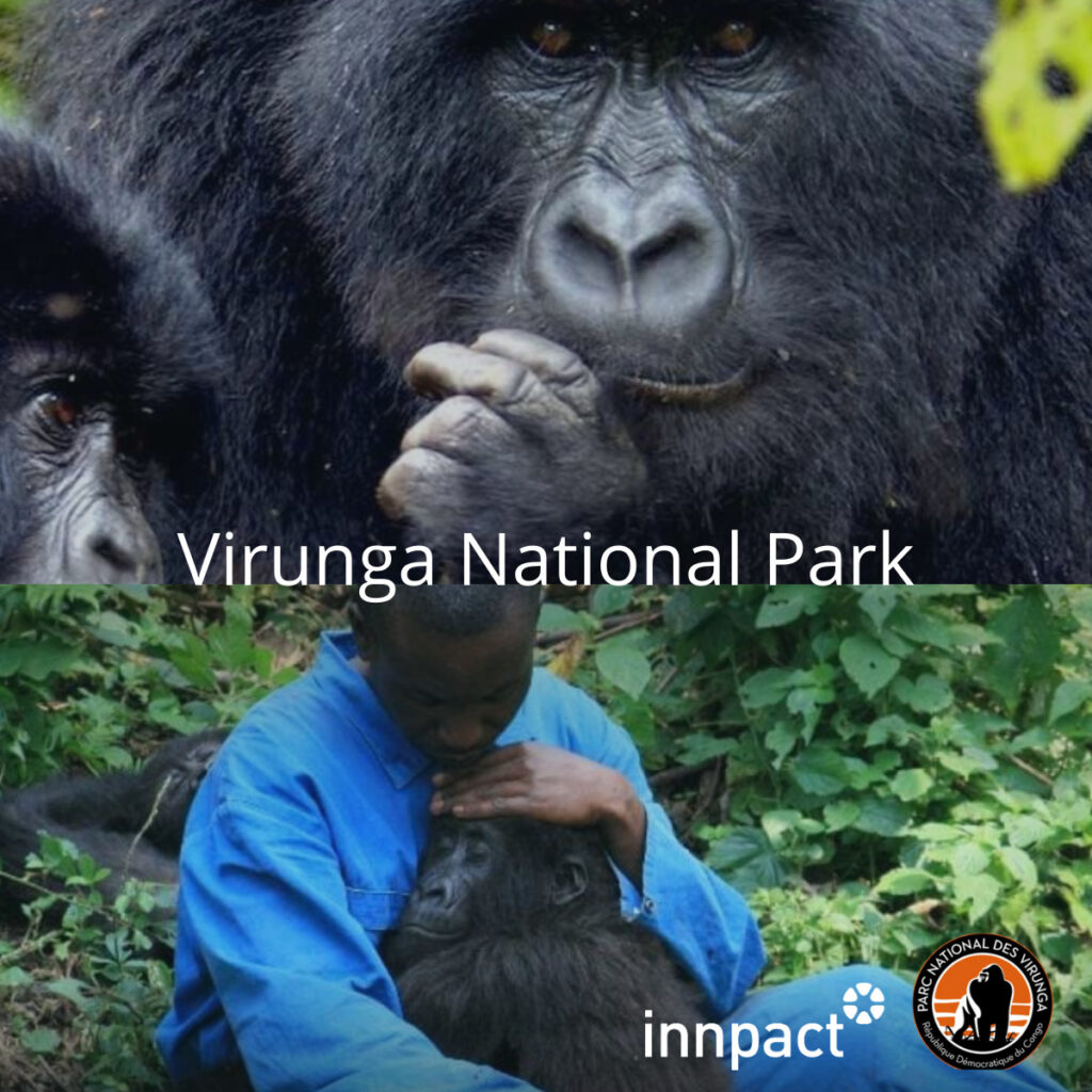 virunda national park